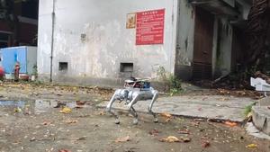 Four-legged, dog-like robot ‘sniffs’ hazardous gases in inaccessible environments