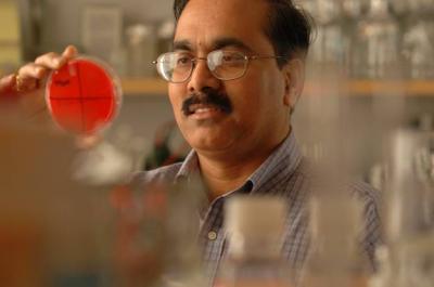 Nemani V. Prasadarao, Children's Hospital Los Angeles