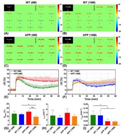 MRI Results for the Cerebrospinal Fluid of Mice Examined in the Experiment