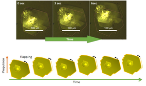 Illustrating the movement of the synthesized microrobots