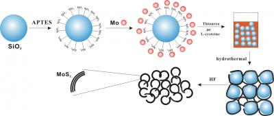 Schematic Illustration of the Preparation Process for Porous MoS2