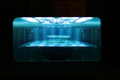 Organic LEDs Get Chlorine Boost (4 of 4)