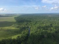 Deforestation in Honduras