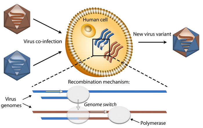 Mechanism underlying the emergence of recombination