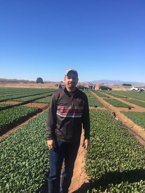 Braham Dhillon in Spinach Field