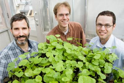 Adam Davis, Richard Lankau and Greg Spyreas, University of Illinois at Urbana-Champaign