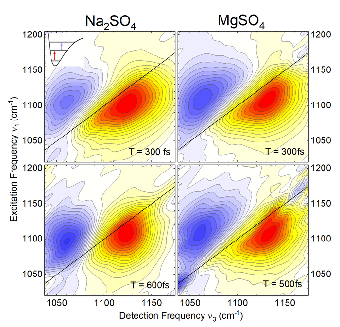 Two-dimensional infrared spectra of the asymmetric stretching vibration of the sulfite ion