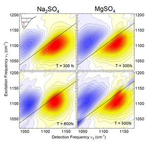 Two-dimensional infrared spectra of the asymmetric stretching vibration of the sulfite ion