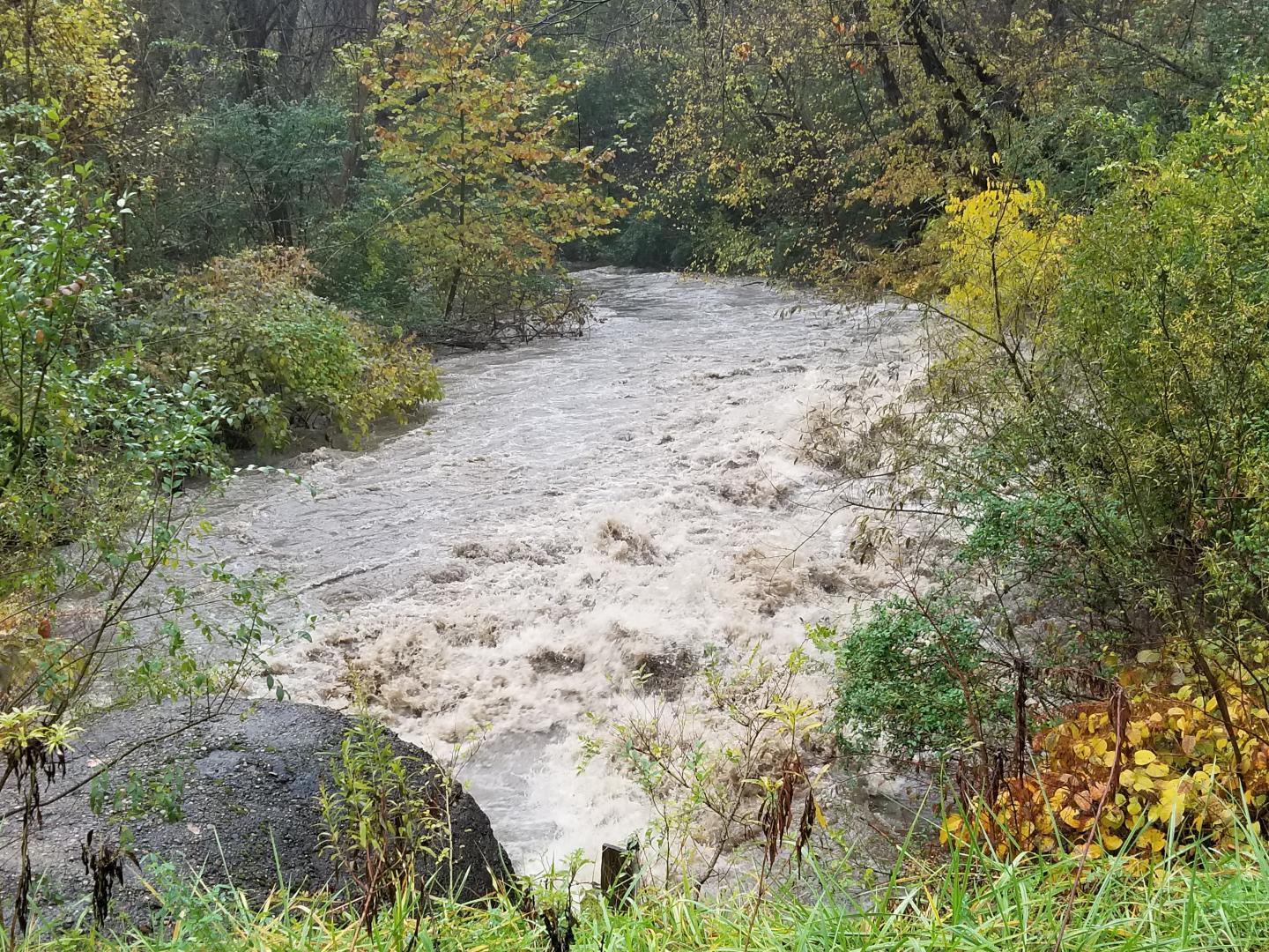 Whitewater Conditions during Nine Mile Run Storm Flow