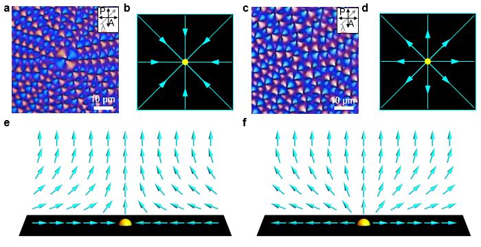 Polarizing Optical Microscopy Images