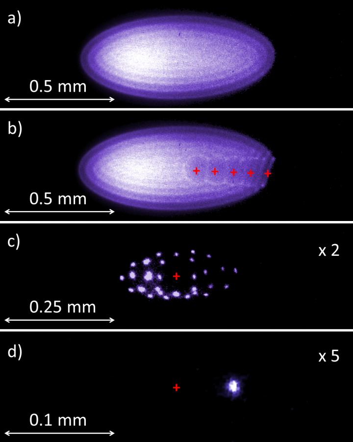 CCD Images of Be+ Ion Crystals