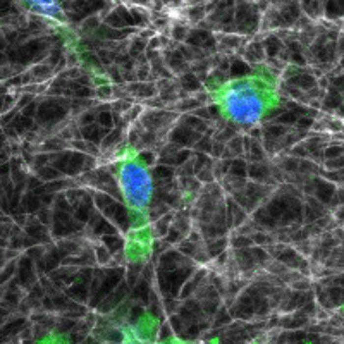 Discovering Communications Mechanisms Between Cells