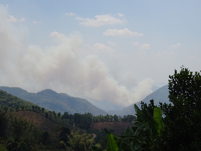 Emissions from agricultural and forest fires