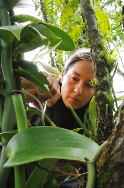 Katia Silvera, University of California -- Riverside