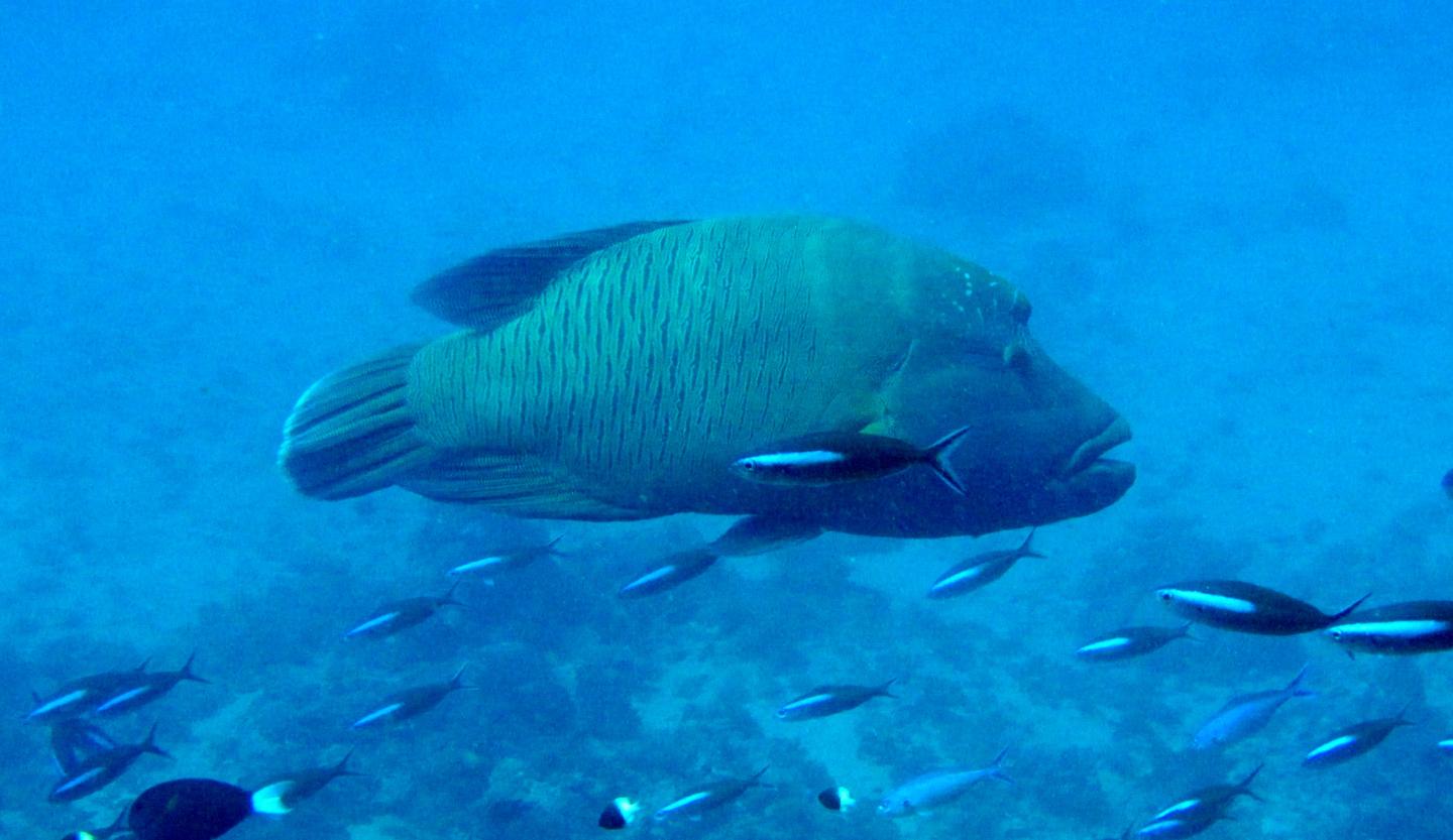 EurekAlert! Science News Releases