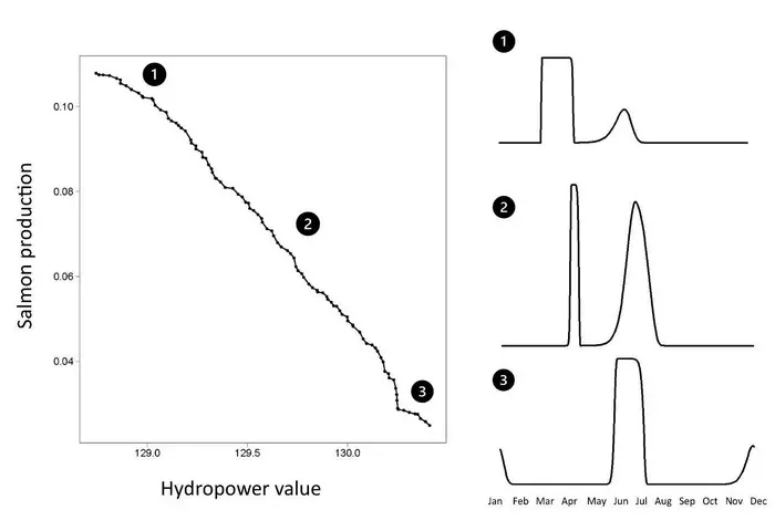 Optimal flow regimes in the non-dominated set of solutions.