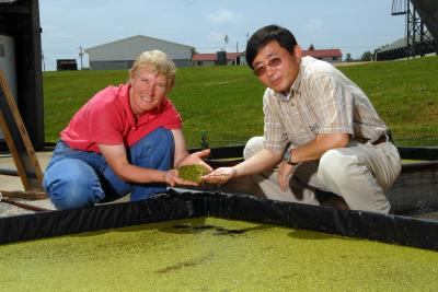 Drs. Anne Stomp and Jay Cheng, North Carolina State University