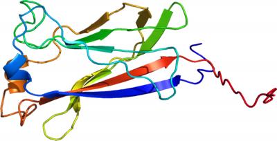 SPOP (Speckle-type POZ Protein)