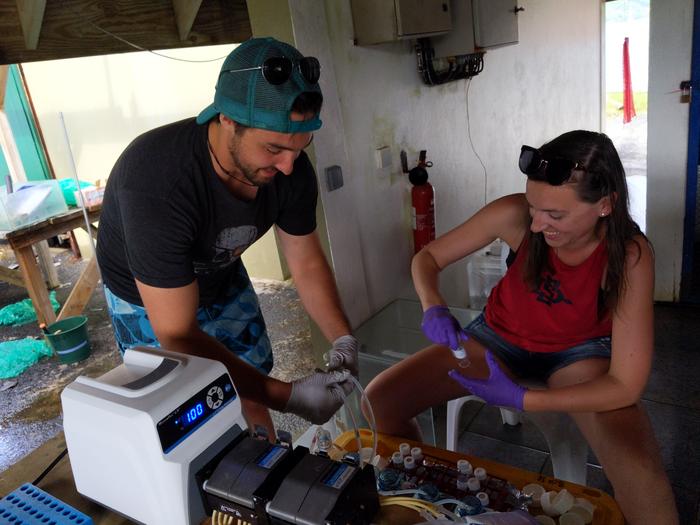 Fieldwork in Mo'orea, French Polynesia