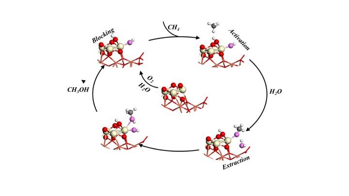 Catalytic Cycle Schematic [IMAGE] | EurekAlert! Science News Releases