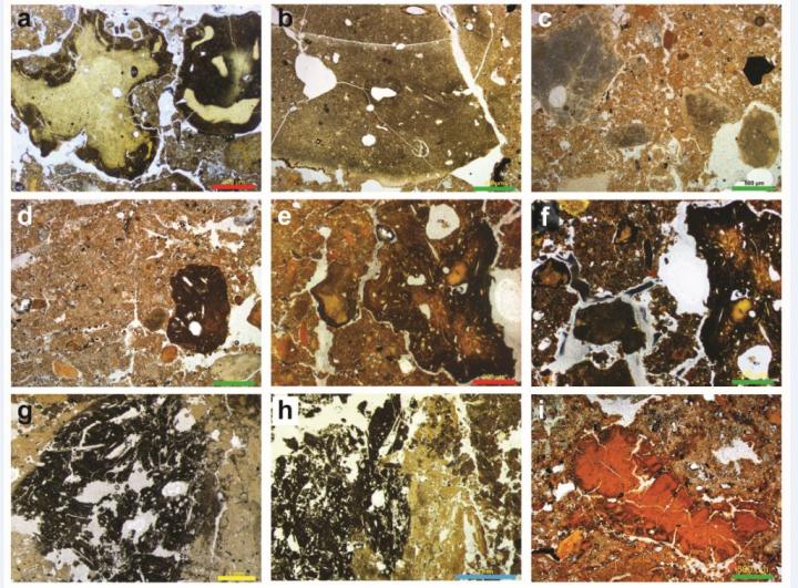 Sediment Samples from Siberian Denisova Cave