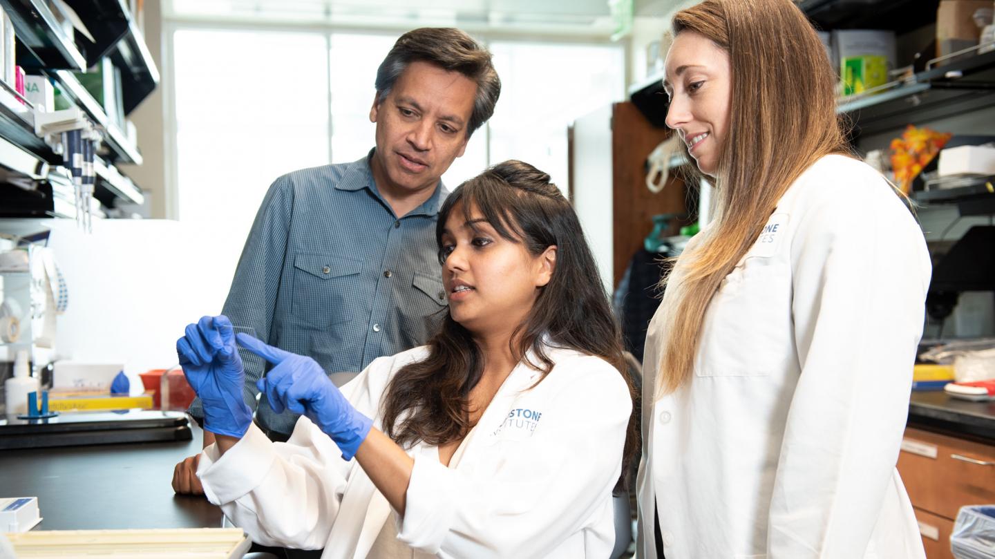 Gladstone Scientists Led by Deepak Srivastava