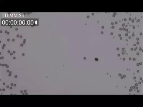 Microrockets Moving Particles of Silica