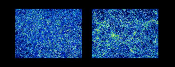Axonal Tiling of Serotonergic Neurons