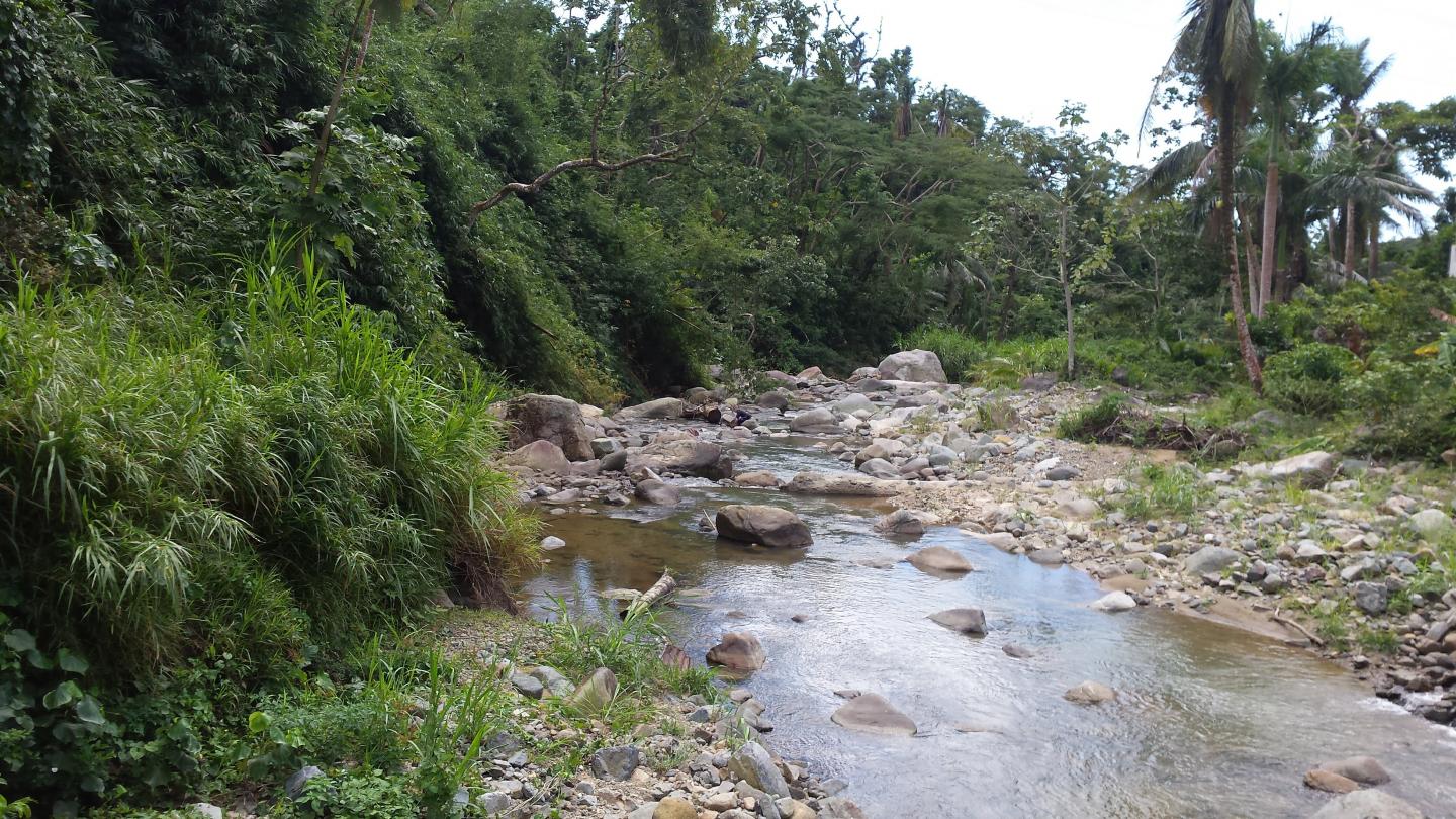 Antibiotic resistance genes in three Puerto Rican watersheds after Hurricane Maria