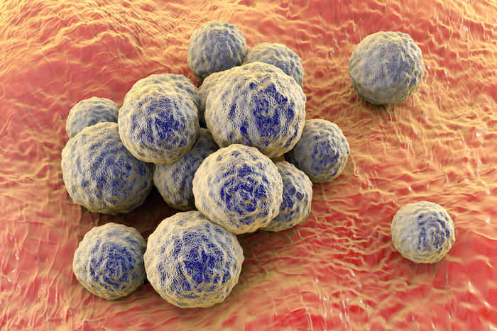 3D illustration of Staphylococcus aureus.