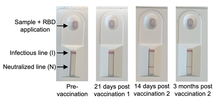 Covid Immunity Test (3)