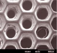 UC San Diego NanoEngineers Aim to Grow Tissues with Functional Blood Vessels (2 of 2)