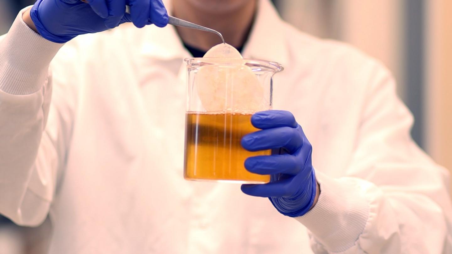 Kombucha Tea Sparks Creative Materials Research Solution