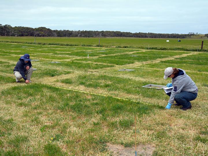 Researchers collecting data