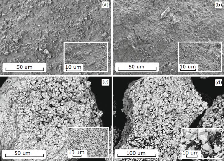 SEM Images of Tungsten Oxide Samples