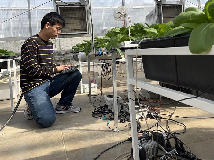 AI models track plant growth