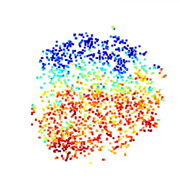 Double-Positive T Cells