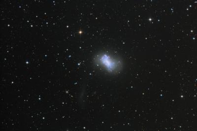 NGC 4449 and Companion