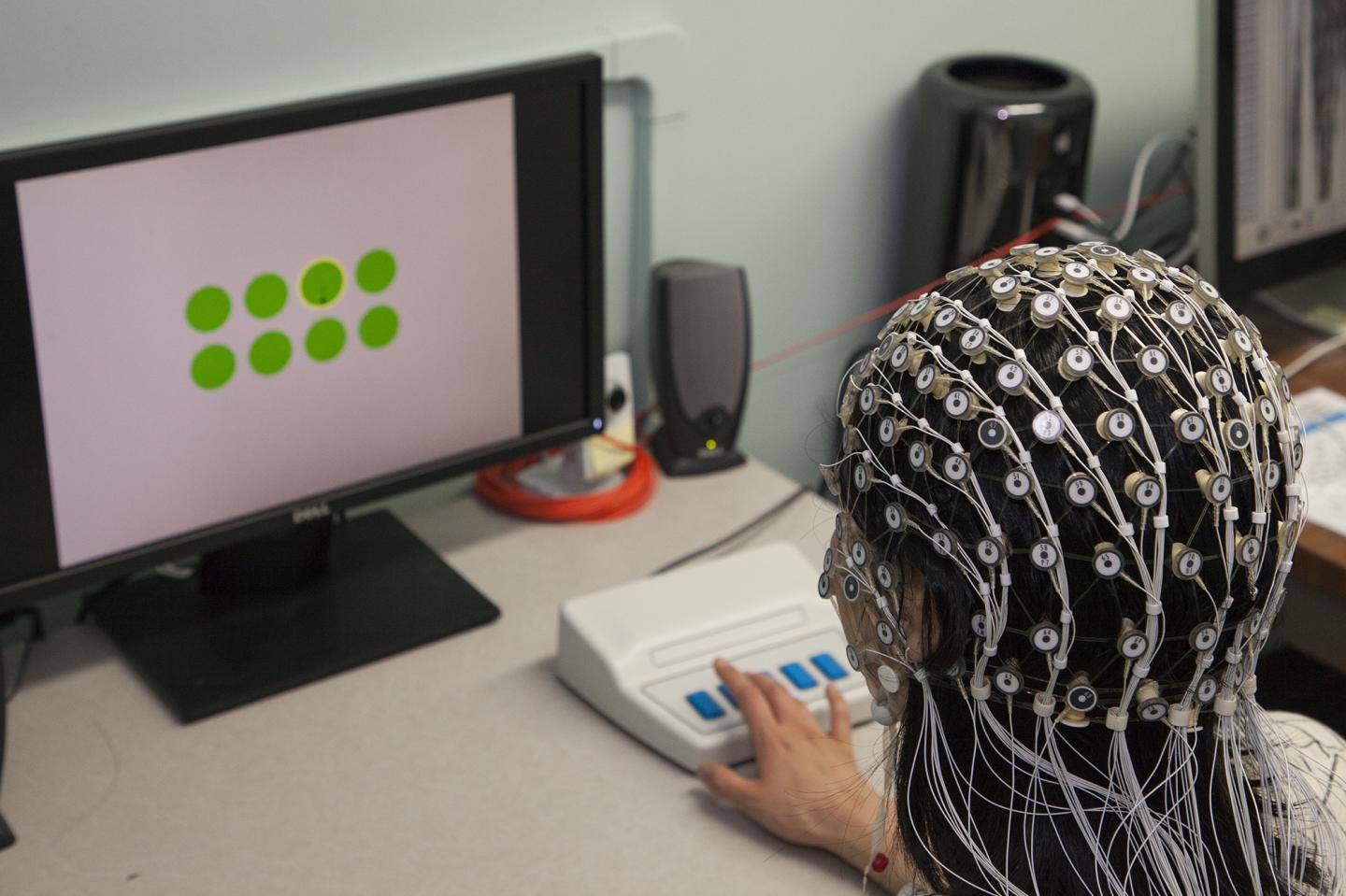 EEG Cap Close Up
