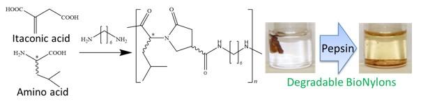 Figure 1. Development strategy  for pepsin degradable BioNylons from itaconic acid and leucine.