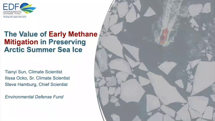 Presentation: The Value of Early Methane Mitigation in Preserving Arctic Summer Sea Ice