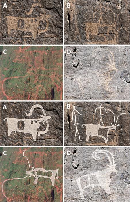 First evidence for human occupation of a lava tube in Arabia: The archaeology of Umm Jirsan Cave and its surroundings, northern Saudi Arabia