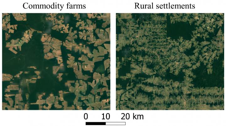 Satellite images from deforested areas used for farming