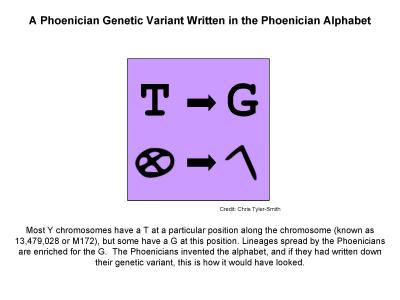 A Phoenician Genetic Variant Written in the Phoenician Alphabet (1 of 2)