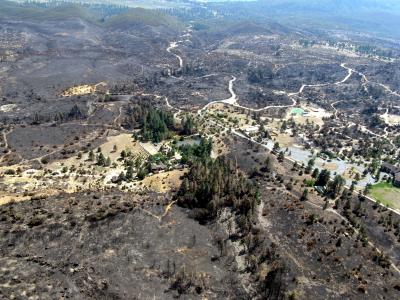 Burn Scar, San Jacinto Mountains