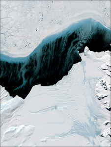 Landsat 8 image depicting the highly dynamic SCAR Inlet Ice Shelf, Antarctic Peninsula