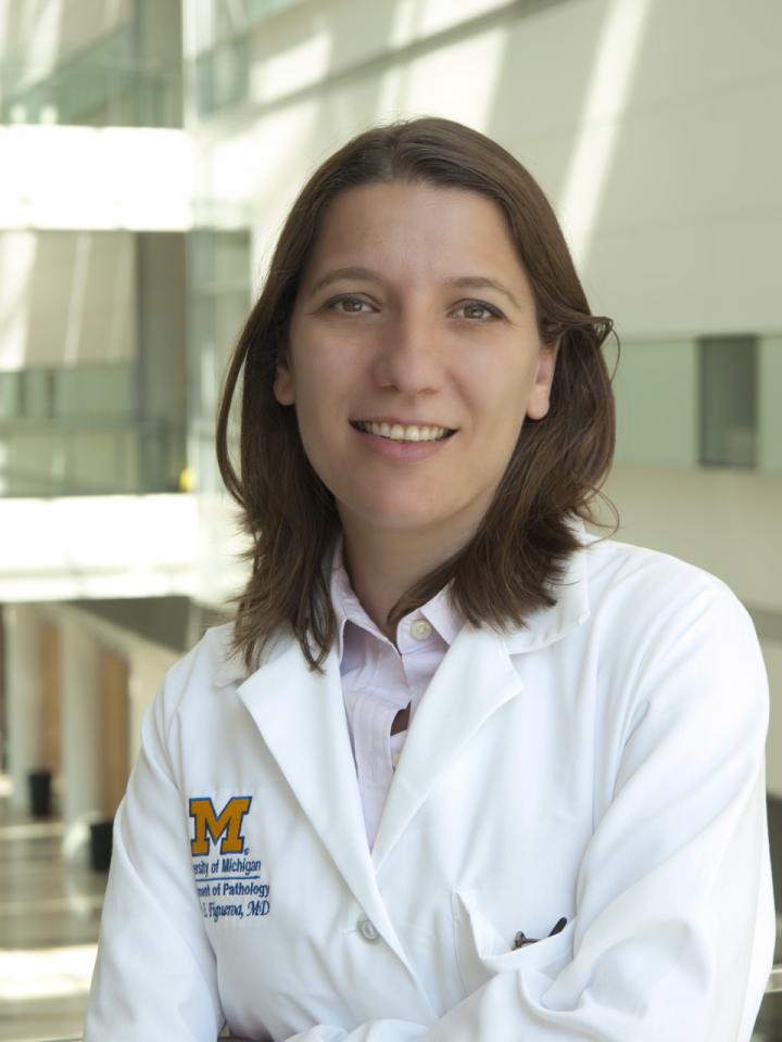 Maria E. Figueroa, University of Michigan Health System
