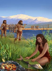 An illustration of hominins exploiting and cooking Luciobarbus longiceps (large barb, Cyprinidae) on the shores of paleo Lake Hula (illustration by Ella Maru)