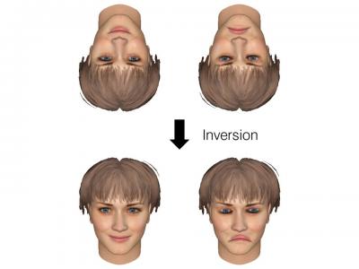 Difficult to Recognize An Inve [IMAGE] | EurekAlert! Science News Releases