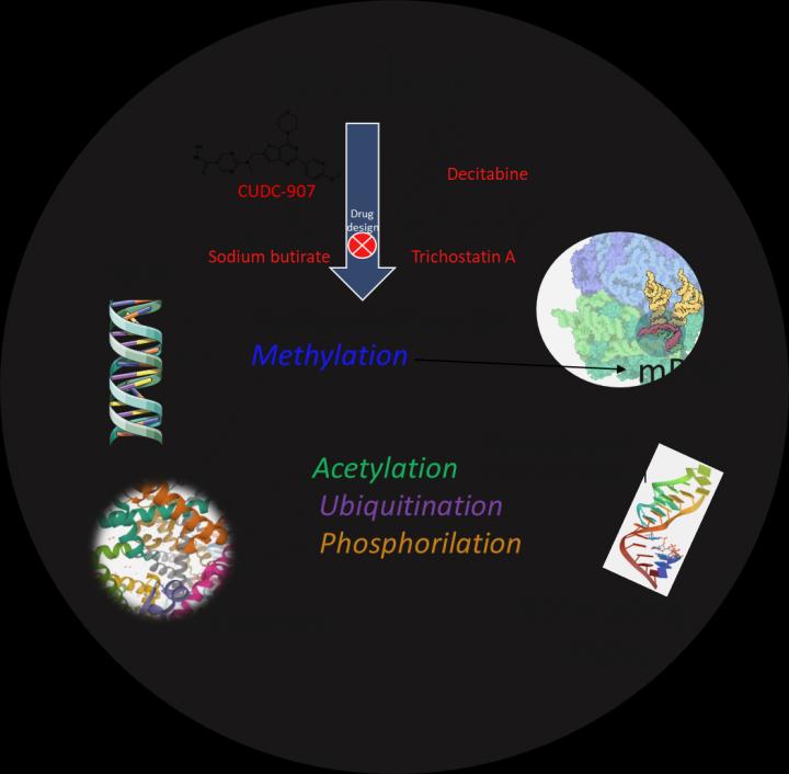 Targeting Epigenetic Mechanisms to Treat Alcohol Use Disorders (AUD)